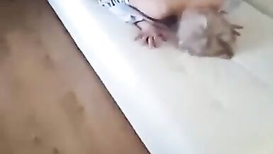 Fat stranger fucks slutty wife doggystyle - 8 image