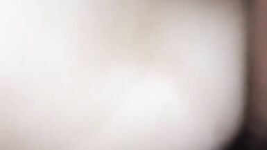 FRAPPE DE LA BBC CONTRE LA CHATTE DU PRÉFET !!!