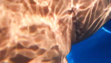 Sexy Joy takes a Creampie in the Pool - 8 image
