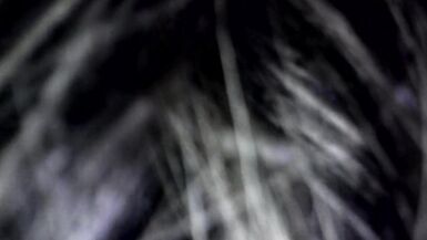 Italian milf sucking my cock - 15 image