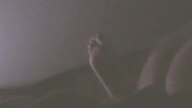 Fucking best friends wife after he goes to work in his bed. She cums and moans so good - 9 image
