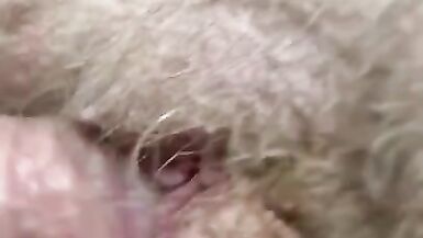 Close up ¡Sorpresa Creampie! - 10 image