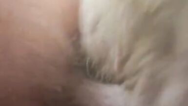 Close up ¡Sorpresa Creampie! - 15 image
