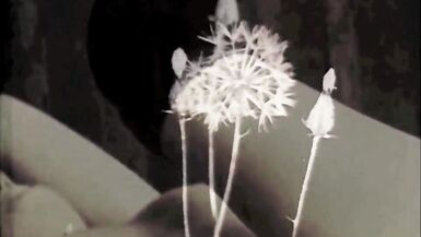 Dark Lantern Entertainment presents 'At Home With Granny' from My Secret Life, The Erotic Confessions of a Victorian English Gentleman - 2 image