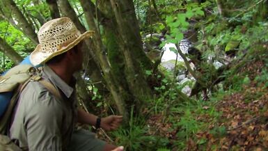 4K outdoor anal adventures - horny slut fuck rescue