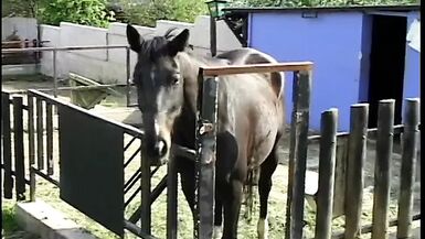 Blonde bitch fucked hard up the smelly door in outbuilding