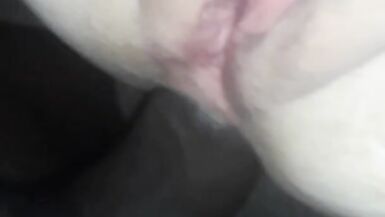 Sub pups anal homework - 2 image