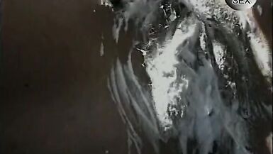 Hallo Annette, wir casten Maedels - aber der Urwald muss weg - 8 image