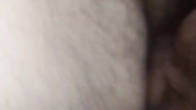 A little morning action