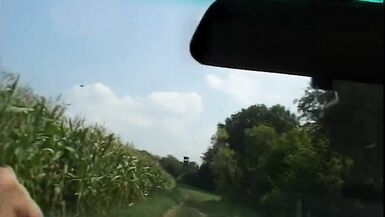 Blond Milf mit Dicken Titten bekommt im Feld eine Spermakur - 4 image