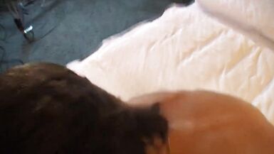 Milf von der Strasse zum Fickcasting ueberredet - 9 image