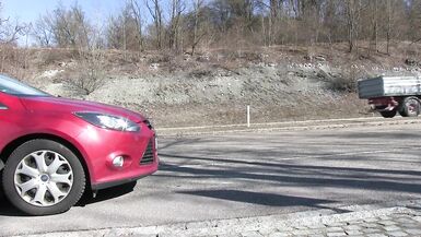 Public Dogging at the Street