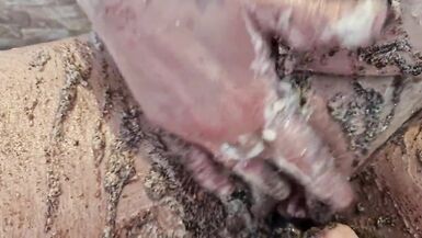 Cake sitting and getting very messy cake & dildo fun - 11 image