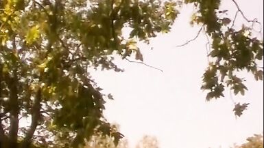Asian slut gives sensuous BJ then rides a big stiff dick for facecum in the park - 9 image