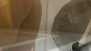 Submissive Wife Valentina Vaughn69 Needs Some Pussy Play and Cock Treat For Being A Good Girl - 4 image