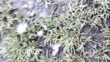 hiking barefoot in the mud, getting very dirty feet, feet fetish only ! - 14 image