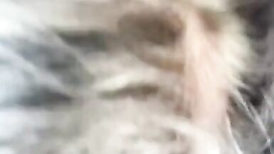 Ateşli milf oral seks yapar ve büyük yükü yutar - 11 image