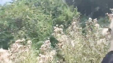 Got Caught Twice in 10min - 15 image