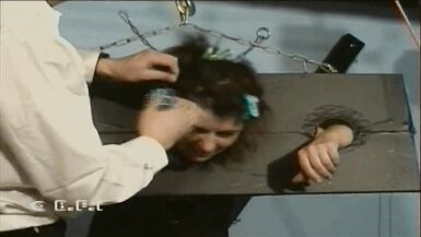 Home made SM International