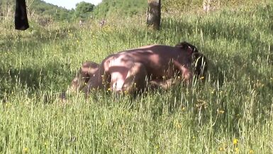 Alla Farnese in officina prude la Vagina - (Film Completo)