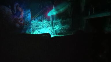 радужная молния (P2) - 14 image