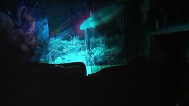 радужная молния (P2) - 15 image