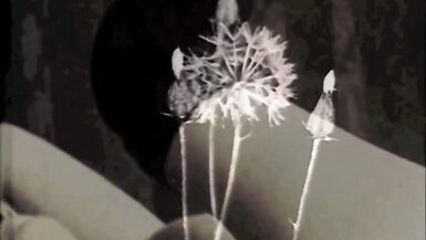 Dark Lantern Entertainment presents 'Vintage Arcade Films' - 2 image
