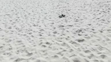 ON THE BEACH WITH HIS STEPMOTHER WHERE SHE MASTURBATES - 2 image