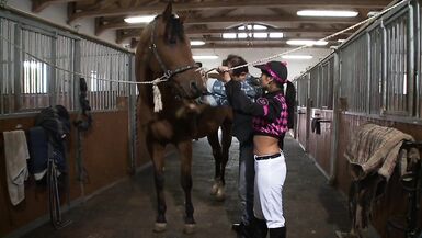 Rich stud owner loves the stable boy - 2 image