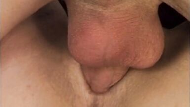 Lasciate che i Ladri Vengano a me! - 11 image