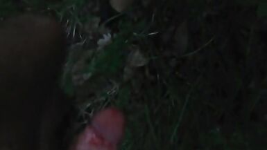 Fuck and blow in the forest with surprize - 10 image