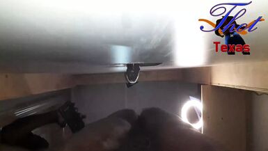 Thot in Texas - Gloryhole Real Amateur BBC Fucking my Wife Hairy Ebony Pussy - 1 image