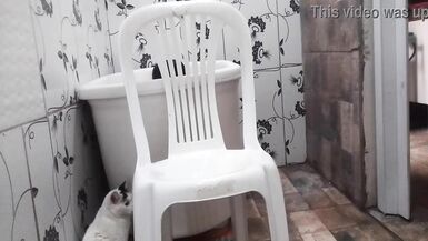 Newbie in the subject trying vaginal fisting Stella Still - 6 image