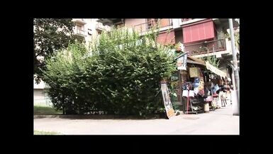 My Teacher is different! - 1 image