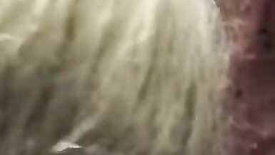 White girl blows me like she mad at it. Cumshot - 13 image