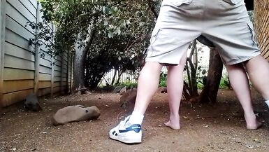Fucking the neighbors wife in the garden - 4 image