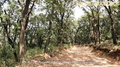 He wanted to go to the forest to have sex with me and they almost discovered us! - 2 image