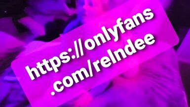 Hausfrau Dee fucking immer gefickt und creampied von russischen Mafia Mitglied, während ihr Ehemann Datensätze