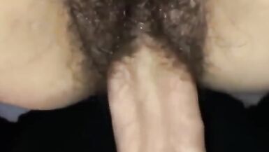 Milf pelosa gioca con il suo cucciolo e il suo giocattolo