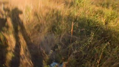 Naomi Cruz, madre guarra nacida para el porno