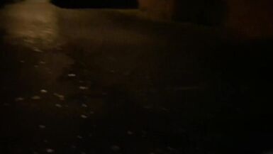 A guy  made me suck his cock at the park and then do a public cum walk - 12 image