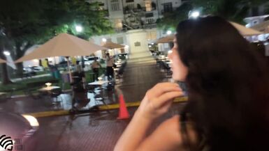 Sex in the restaurant toilet