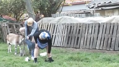 Dirty GrandMa - vol (3) - (Version originale en HD Restyling)