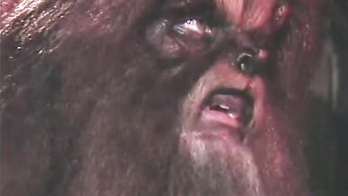 Beauty and the Beast (1988, US, Tracey Adams, DVD rip) - 10 image