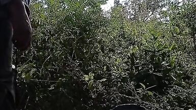 primeiro vídeo na floresta - 5 image