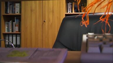 boss secretly engulfing dick of her employee - 2 image