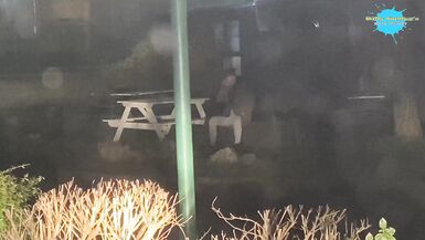 Street hotty abased and copulates a fake cock in the street for a man - 3 image