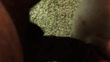 Fuck me in advance of this babe catches us - 14 image
