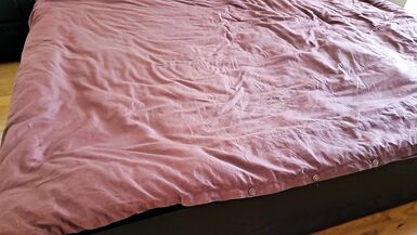 Cheating wife puts music and does three-some underneath the daybed male+male+female - 4 image
