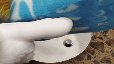 Squeaky Clean Sex Toy - 4 image